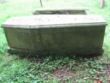 image of grave number 261928